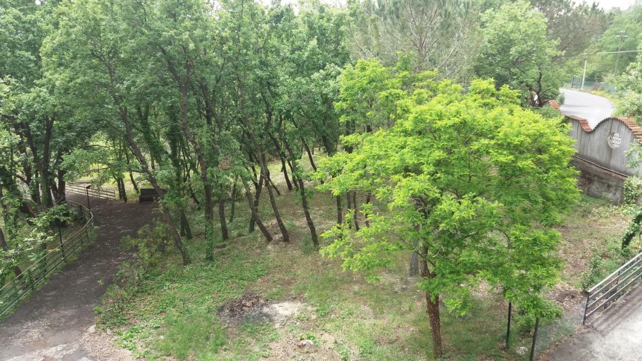 B&B Le Tre Rose Di Maria Педара Экстерьер фото